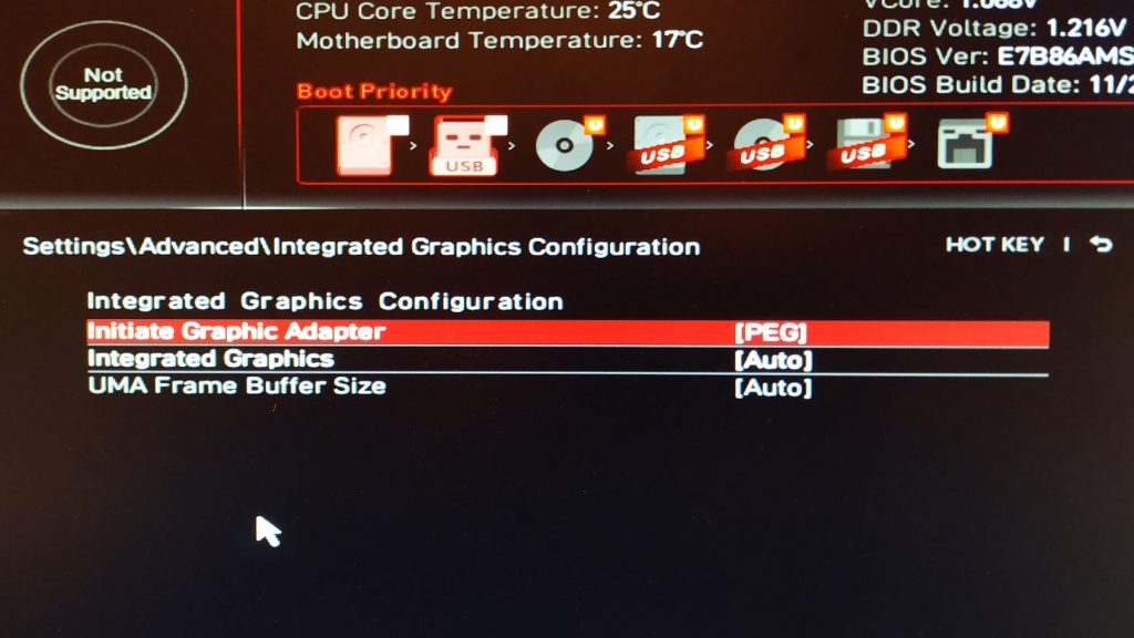 Settings\Advanced\Intergrated Graphics Configuration