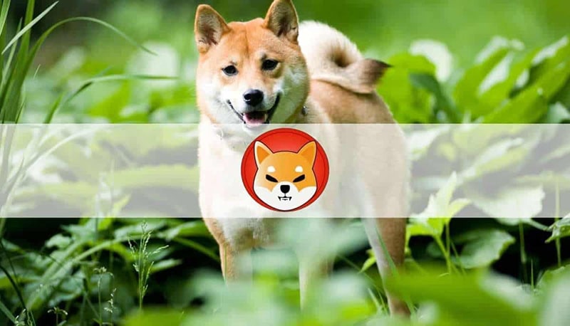 shib