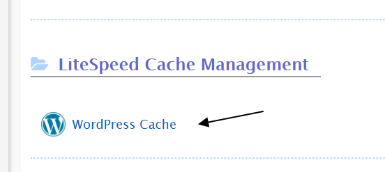 Lite Speed Cache Management