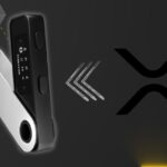 Как перевести или вывести XRP на Ledger