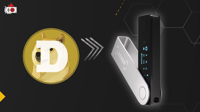 Как вывести или перевести Dogecoin (DOGE) на Ledger