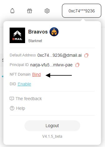 NFT Domain Bind