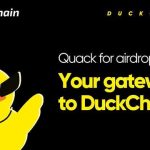 Тестнет от DuckChain