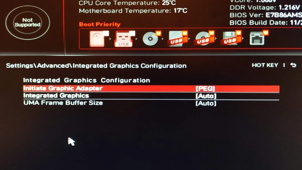 Раздел Integrated Graphics Configuration в BIOS MSI: Initiate Graphic Adapter переключён на PEG