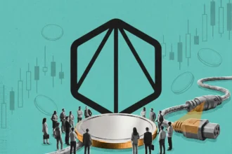 Чим завершився аірдроп Polyhedra у Binance Web3 Wallet і що з ZKJ