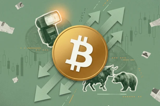 Приток в биткоин-ETF впервые за 10 сессий — пока киты копят