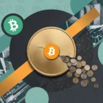 Форки биткоина: все форк-монеты держателя 1 BTC стоят $296,93