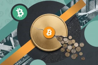 Форки биткоина: все форк-монеты держателя 1 BTC стоят $296,93