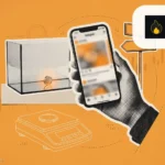 Сейл DoubleDog на HOT Pad: во что превратился токен DD