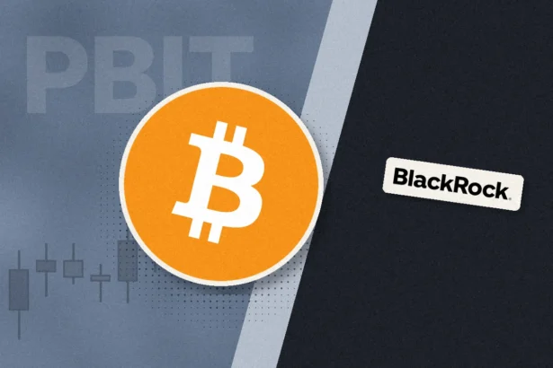 BlackRock подала заявку на биткоин-ETF PBIT — убыток около 10%, рост с потолком