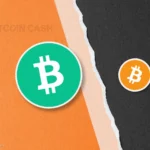 Майнинг Bitcoin Cash (BCH) на S21 и S21 XP: доход при тарифе 4,32 грн и пулы