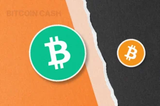 Майнинг Bitcoin Cash (BCH) на S21 и S21 XP: доход при тарифе 4,32 грн и пулы